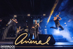 Festival Acústica 2018 <p>Animal</p><p>F: Xavier Mercadé</p>